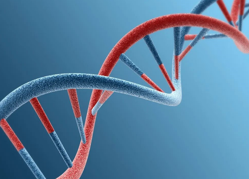 ag体育集团_临场协作更加紧密，比赛掌控力持续增强